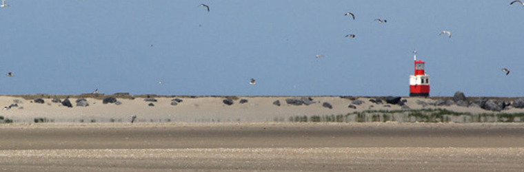 Kemper Interimmanagement en advies