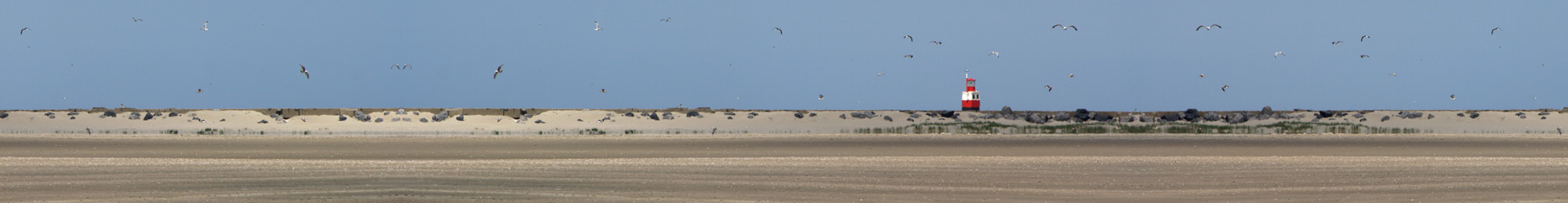 Kemper Interimmanagement en advies